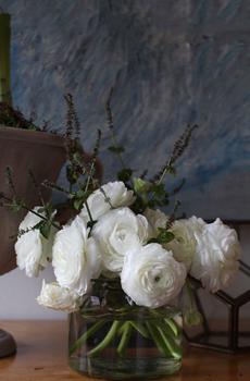 赏心悦目盆栽植物-5