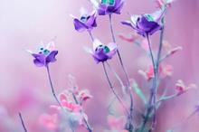 梦幻花朵紫色系