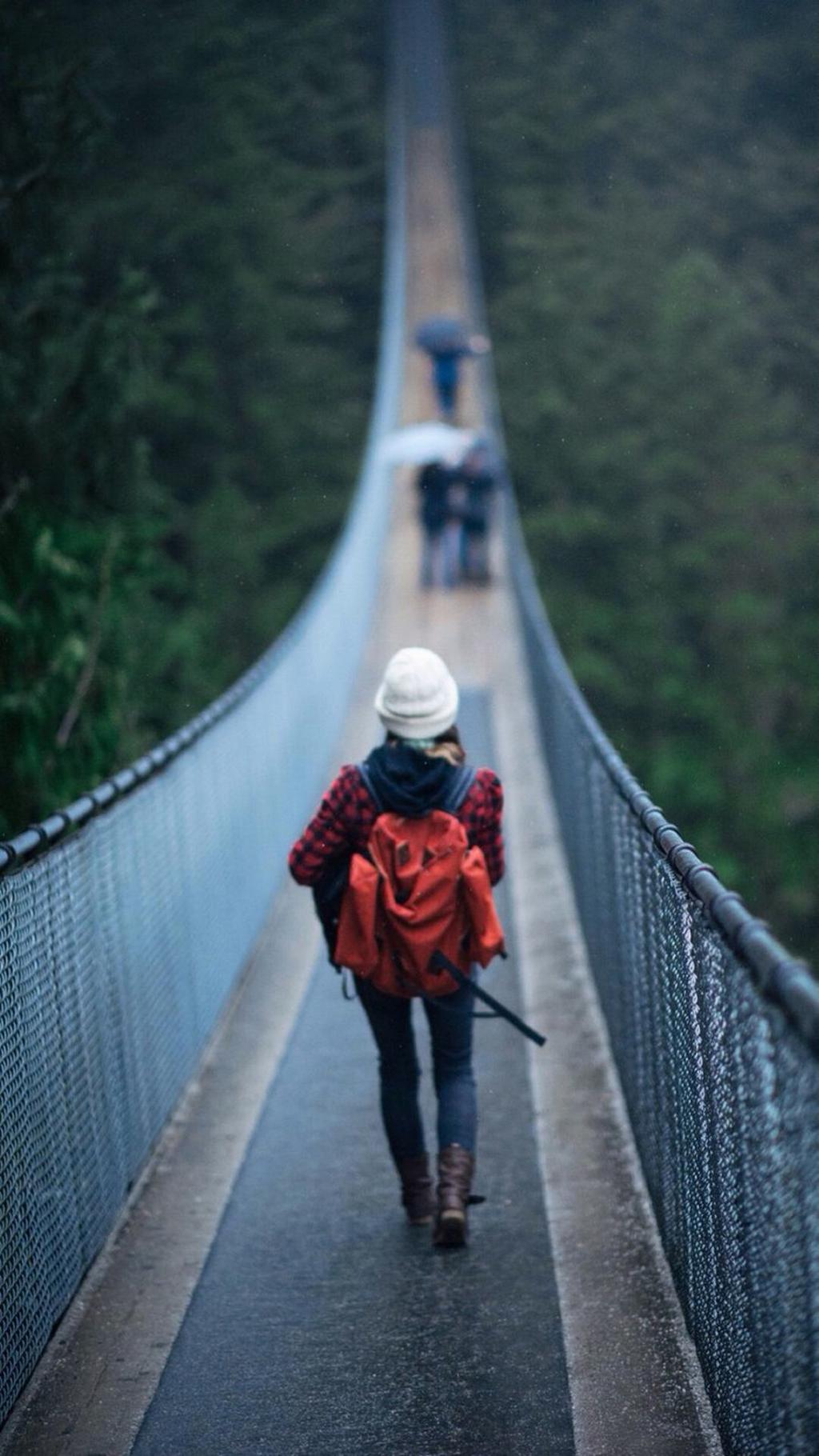 唯美森林吊桥系