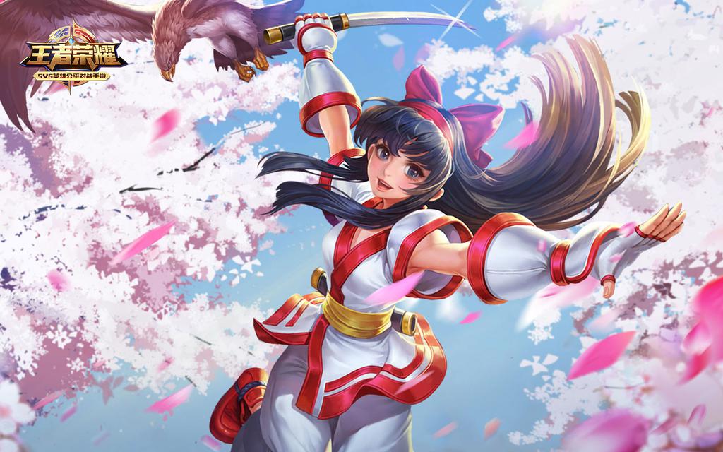 王者荣耀刺客英雄皮肤