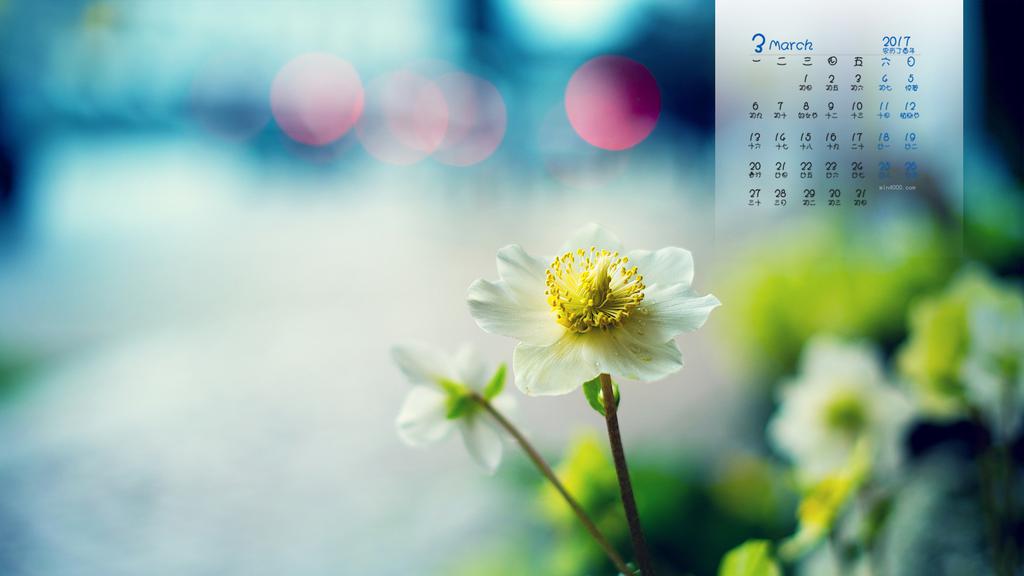 2017年3月绿色护眼日历