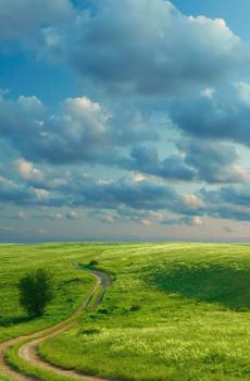 绿色草原景色-5