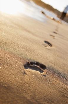 海滩上的脚印-0