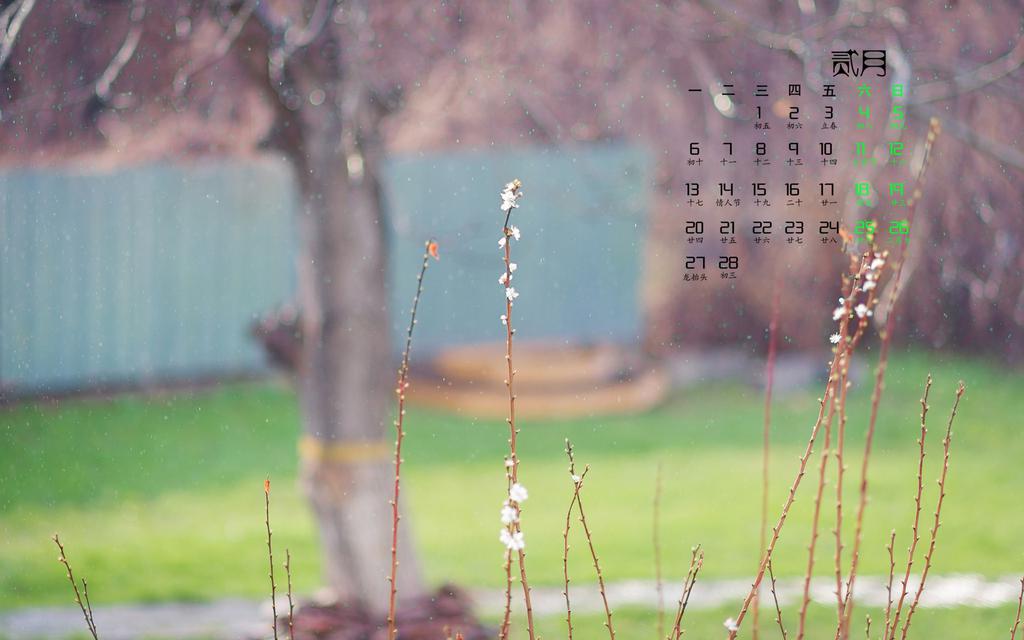 2017年2月小清新日历