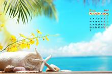 2017年7月沙滩日历