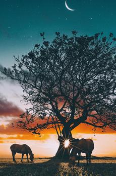 唯美夜晚风景-0