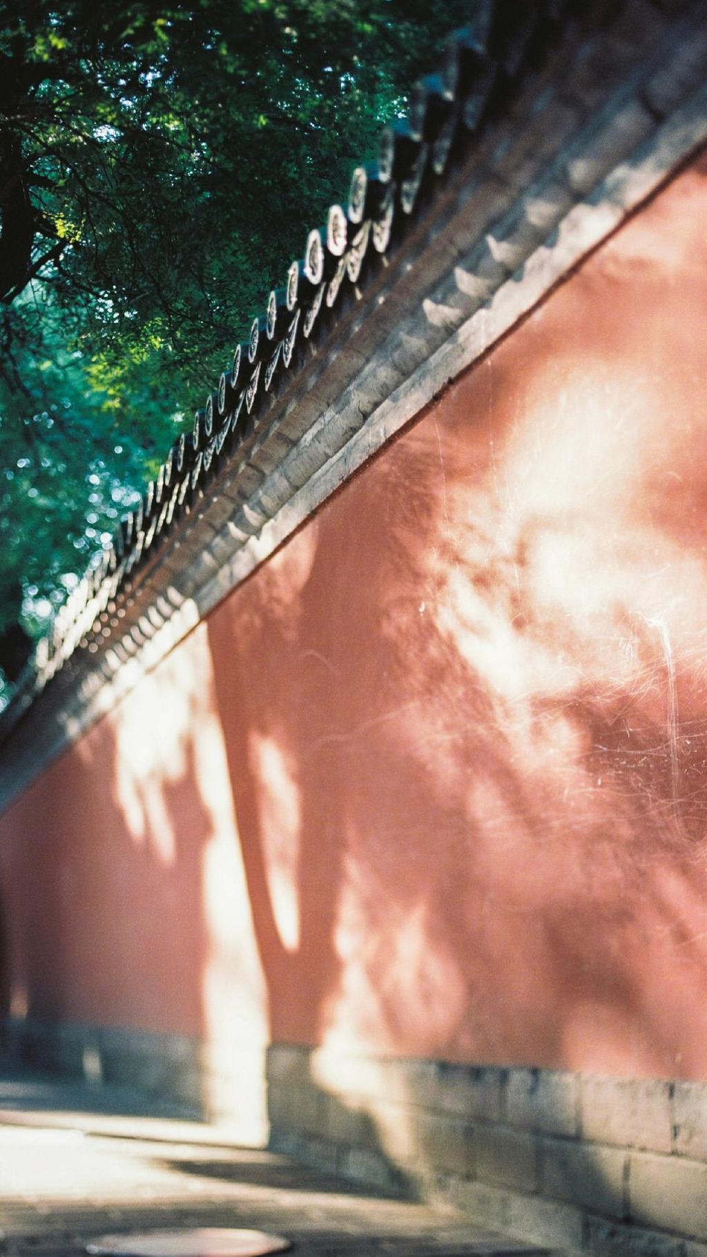 小清新日式胶片风