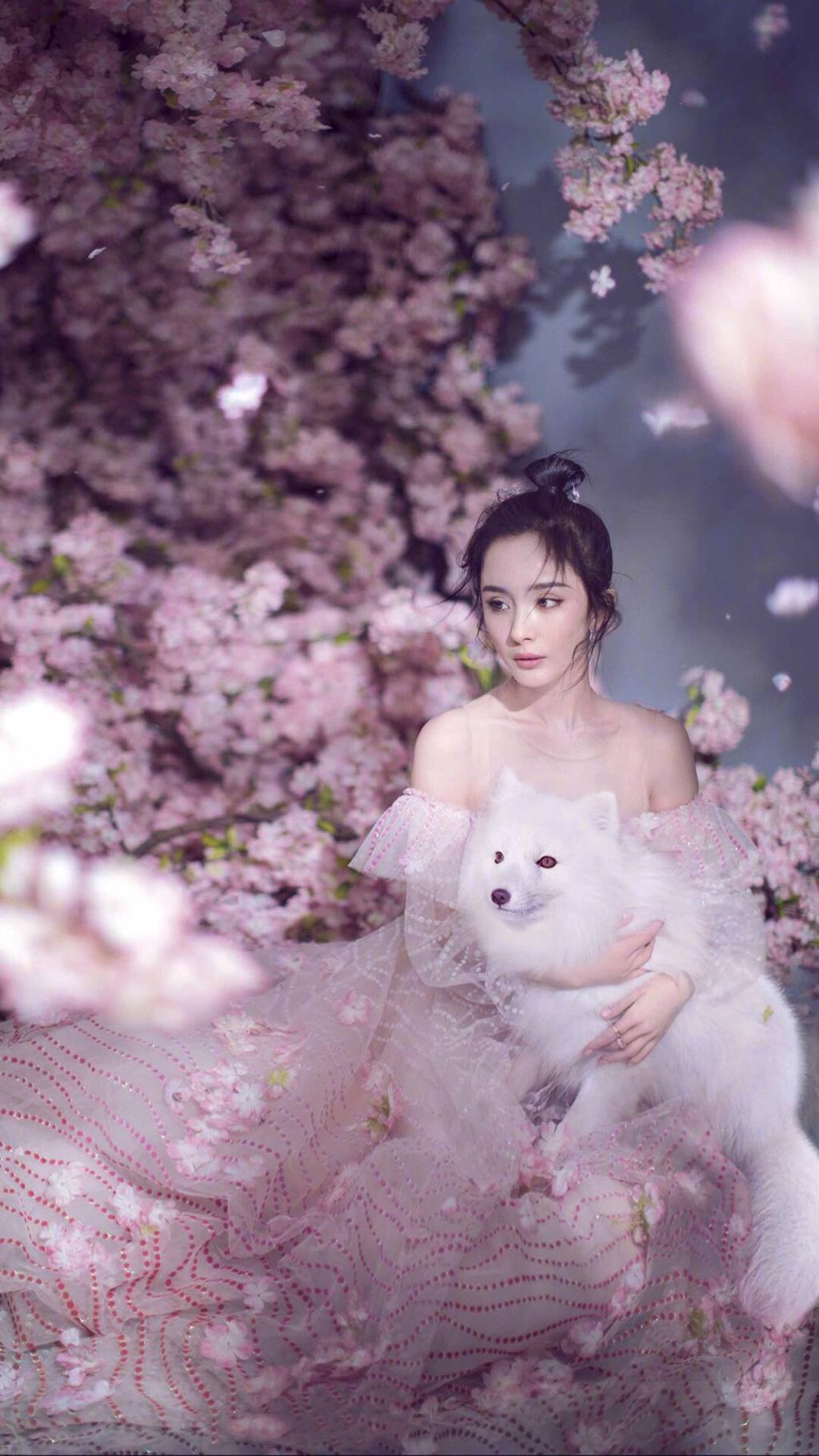 杨幂仙气薄纱写真