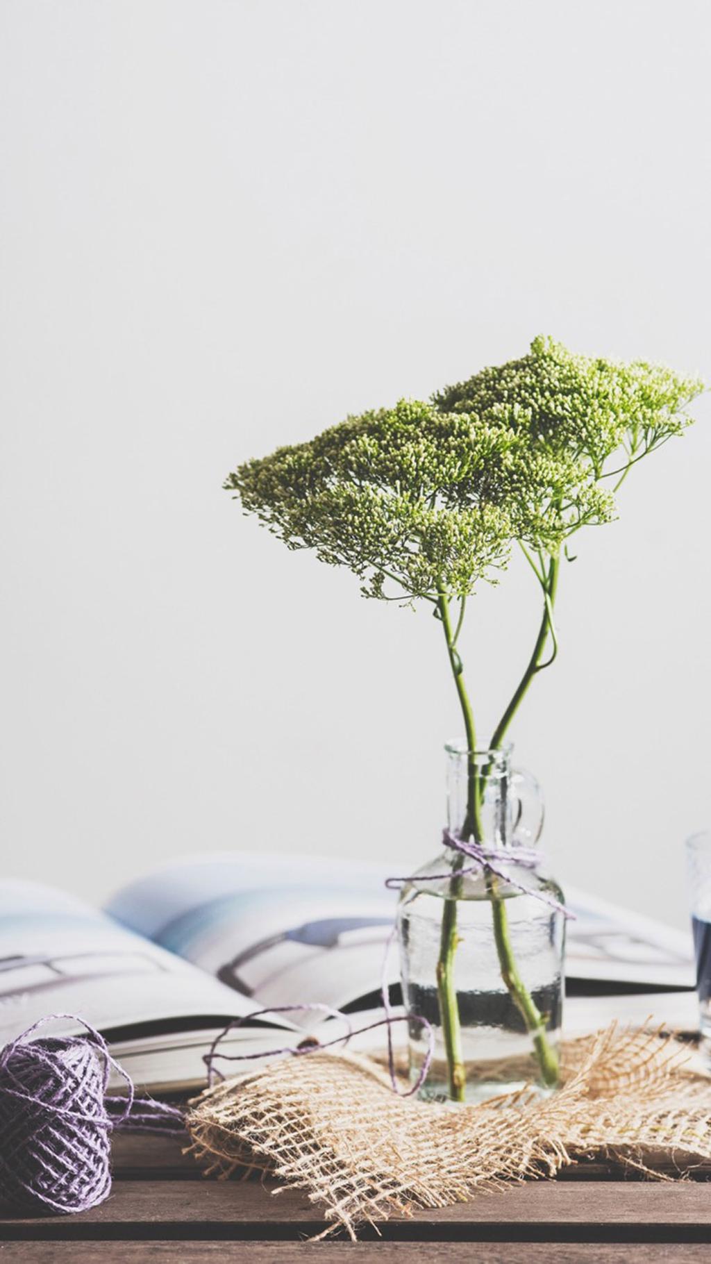 清新淡雅植物花卉