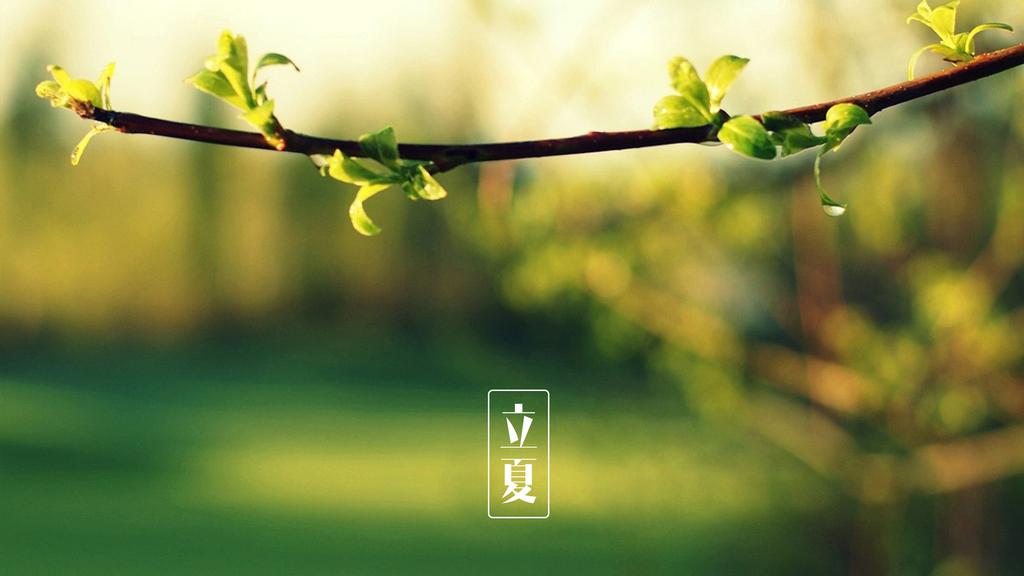 立夏节气景色