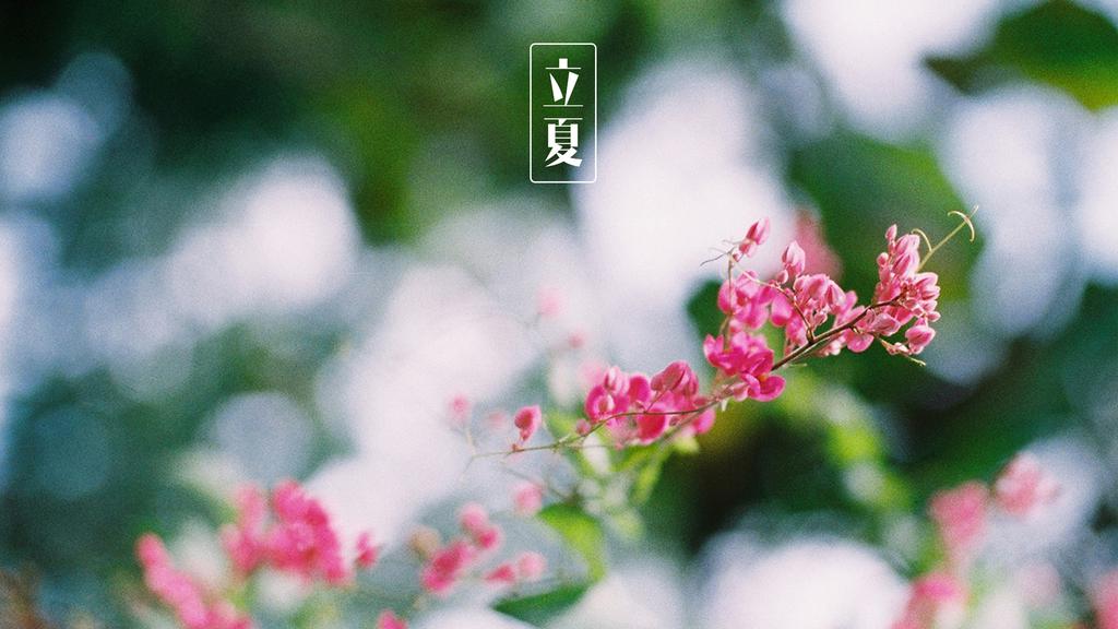 立夏节气景色