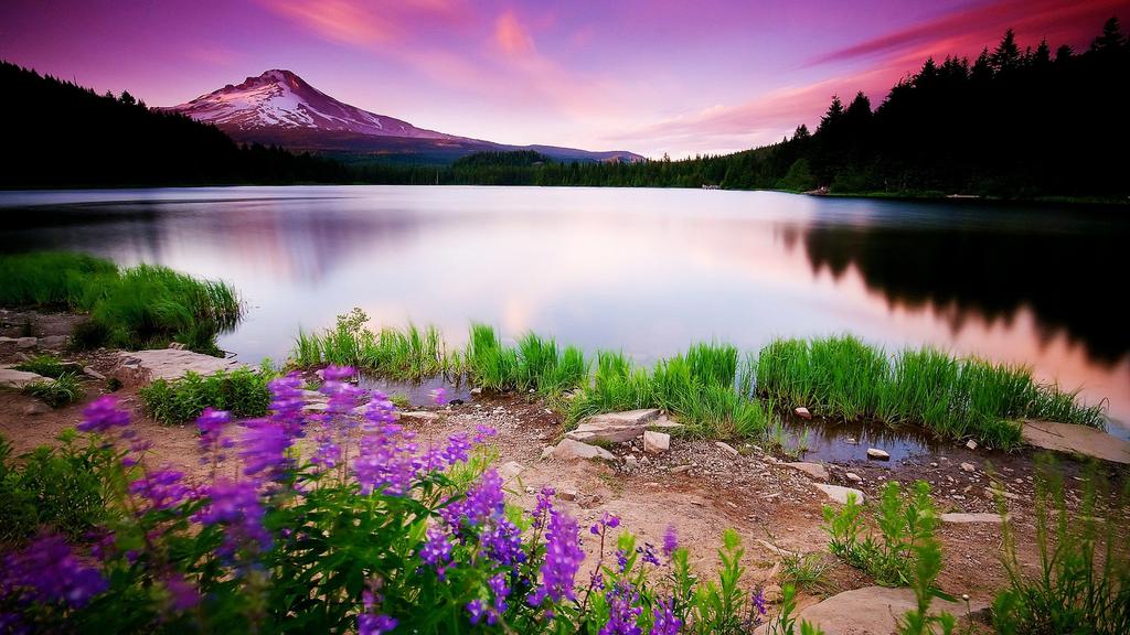 优美的自然风景