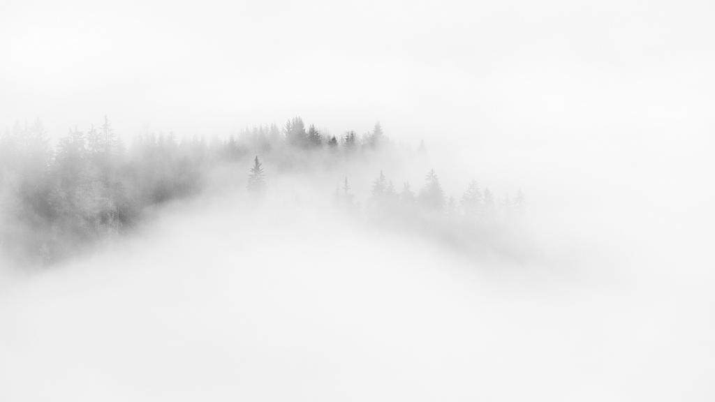 雾中的朦胧美感