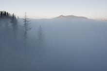 雾中的朦胧美感