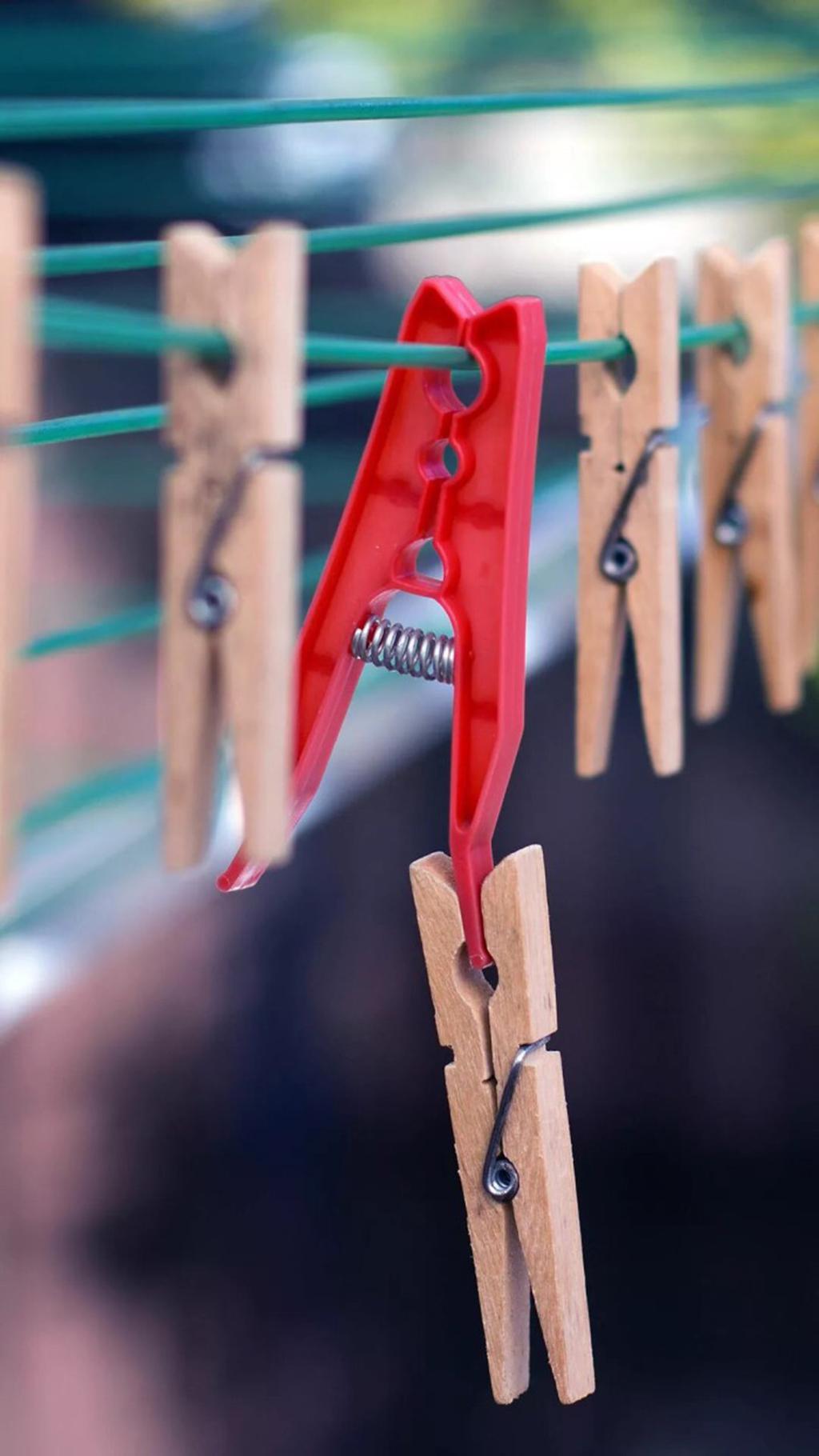 小清新静物精美创意图片