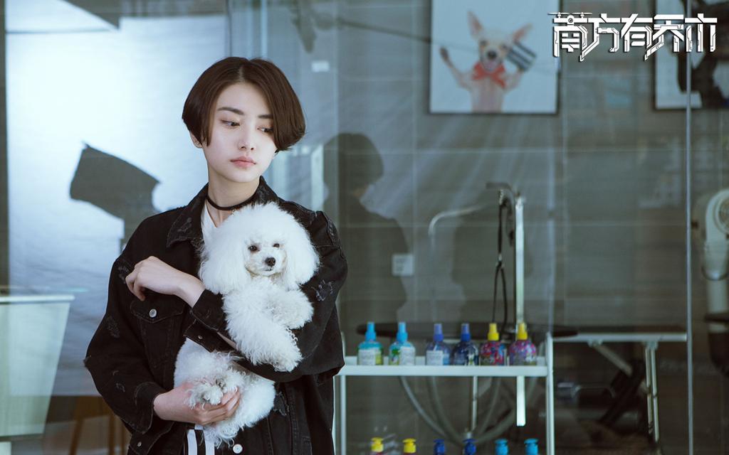 电视剧《南方有乔木》最新剧照