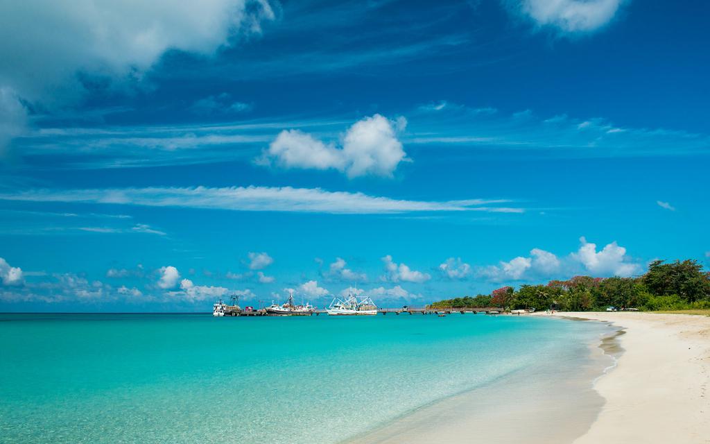 在天晴了的时候