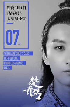 《特工皇妃楚乔传》大结局倒计时海报-1