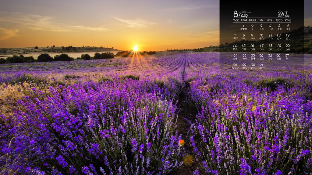 2017年8月绿色植物唯美高清日历