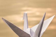 文艺小清新静物图片