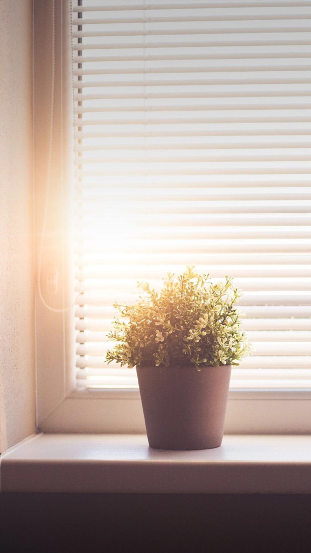 文艺小清新静物图片