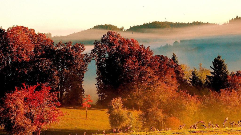 大自然壮观美景