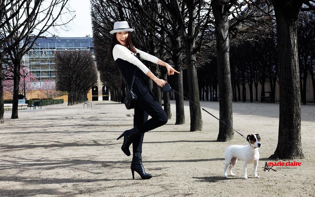 气质女神高圆圆图片