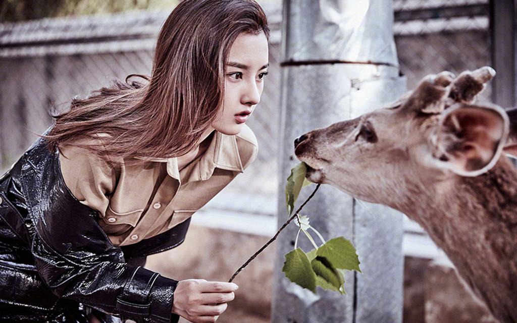 宋祖儿丛林少女唯美写真