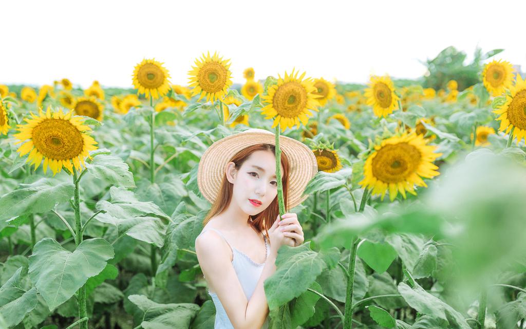向日葵美女清新户外写真