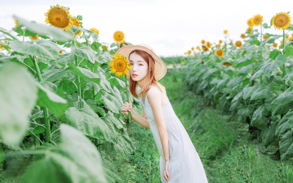 向日葵美女清新户外写真