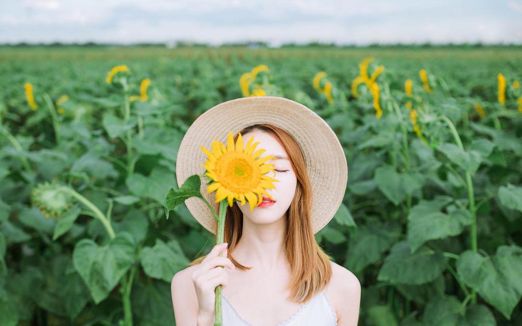 向日葵美女清新户外写真