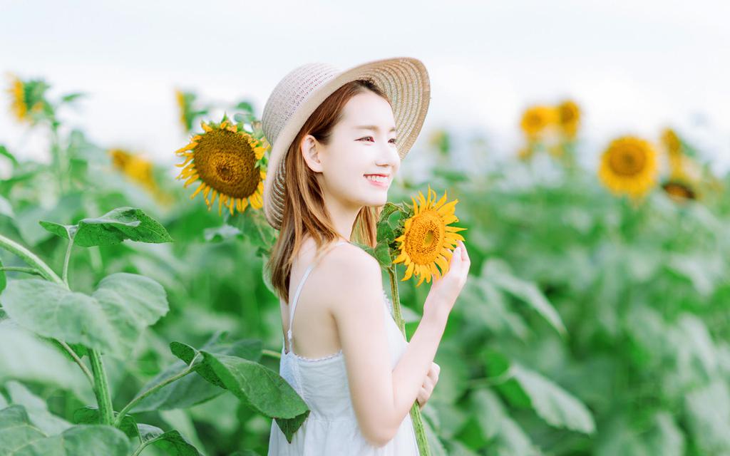 向日葵美女清新户外写真