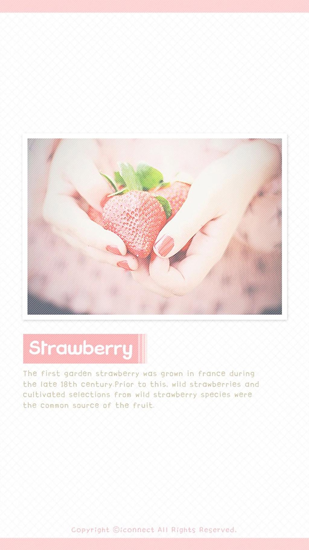 可爱粉色少女系甜美创意设计