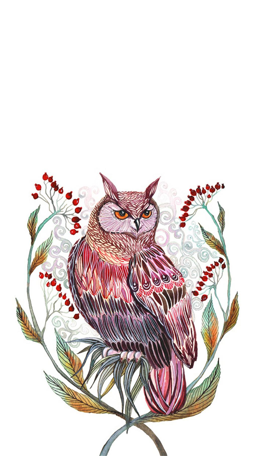 好看的手绘小鸟