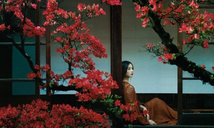 刘诗诗最新杂志写真图片：清雅仙气十足