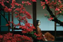 刘诗诗最新杂志写真图片：清雅仙气十足