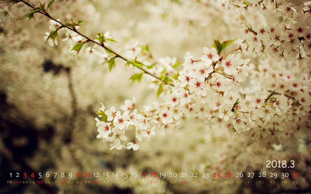 2018年3月桃花日历