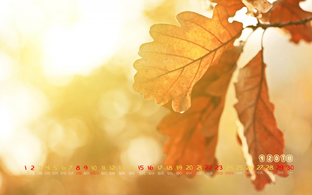 2018年9月秋景日历