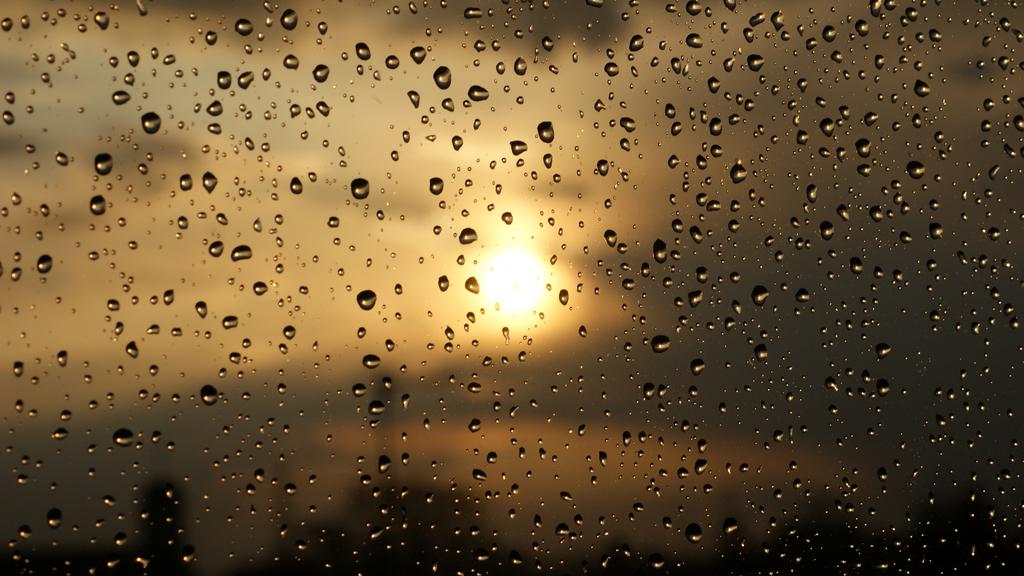 在风雨之后,高清图片,电脑桌面-壁纸族