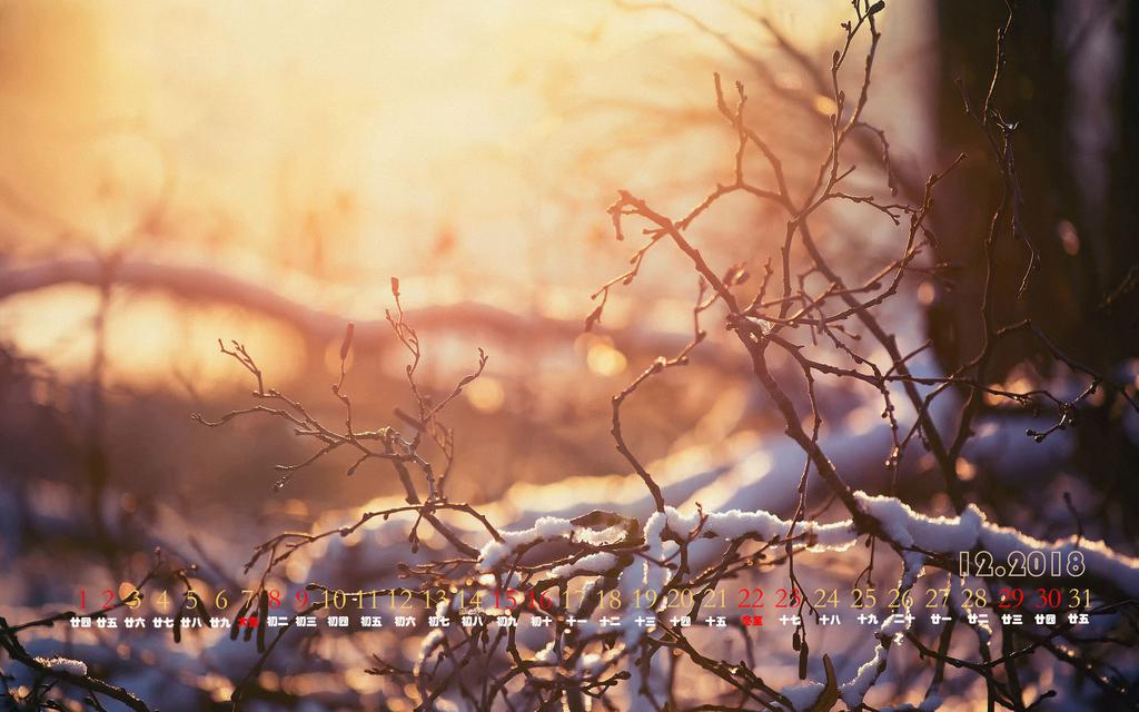 2018年12月日历冬日阳光