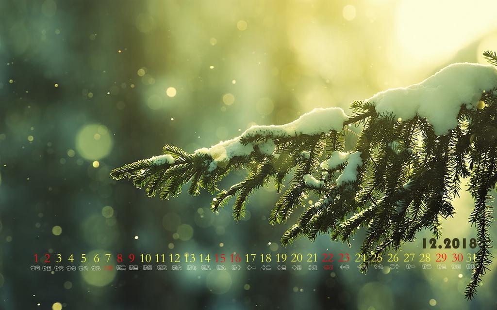 2018年12月日历冬日阳光