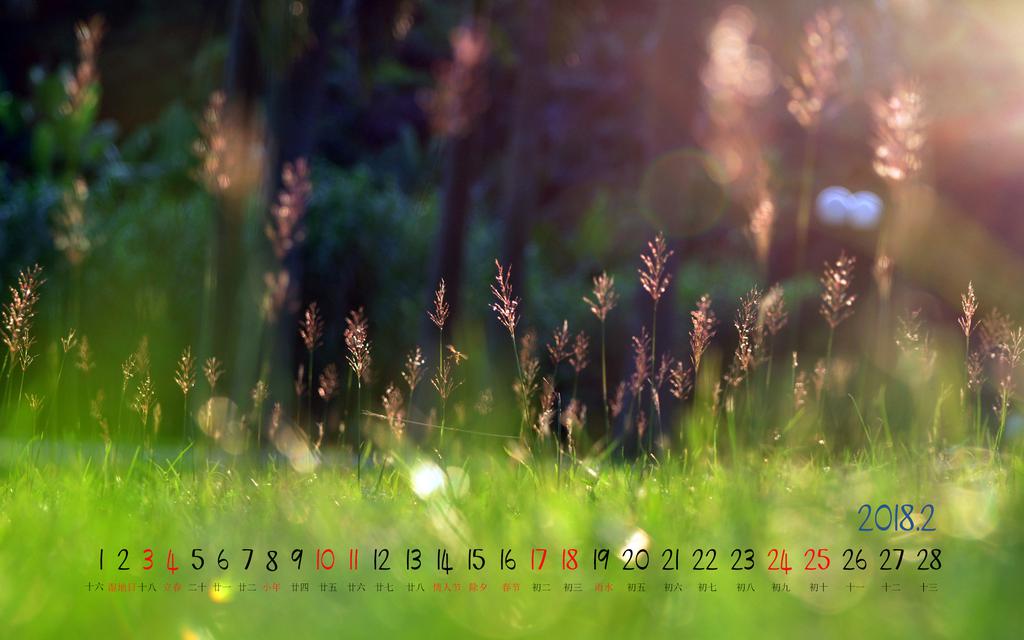 2018年早春2月日历