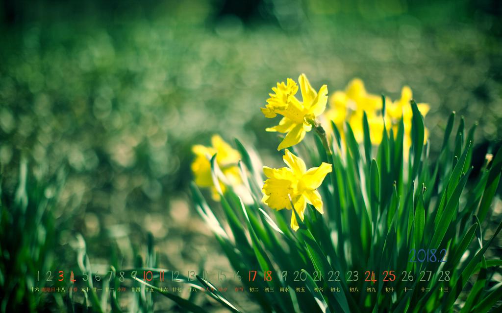 2018年早春2月日历