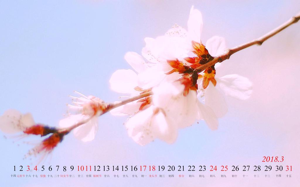 2018年3月桃花日历