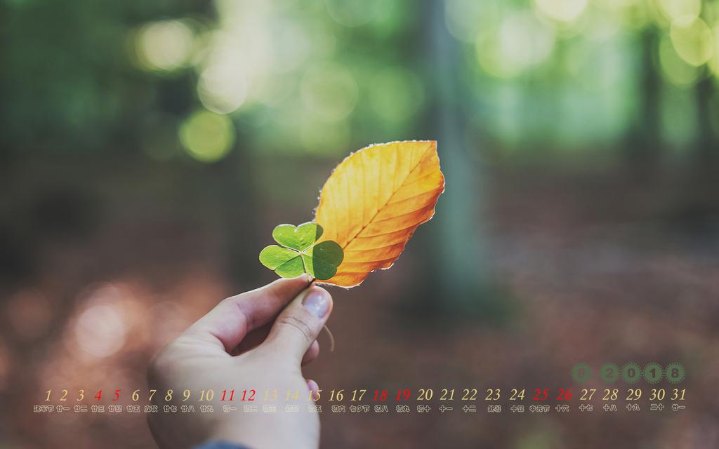 2018年8月日历时光记忆