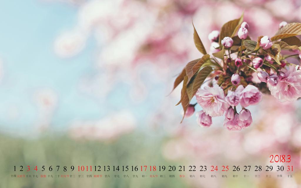 2018年3月桃花日历