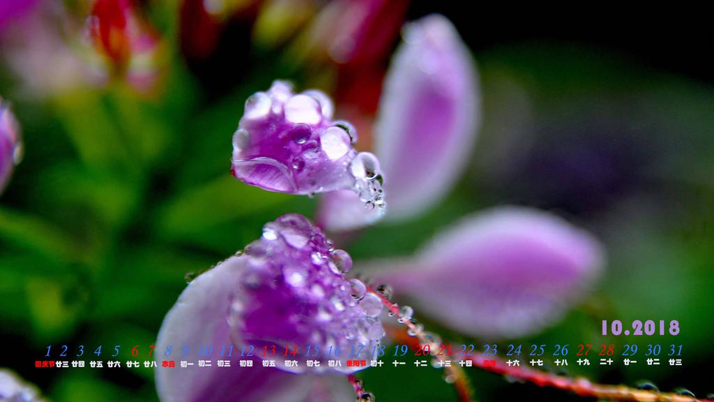 2018年10月露珠日历