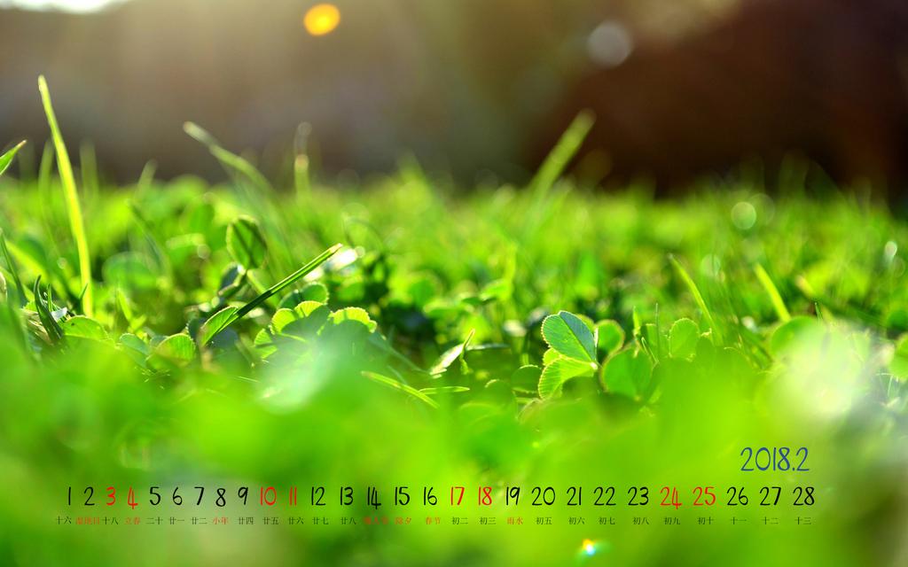 2018年早春2月日历