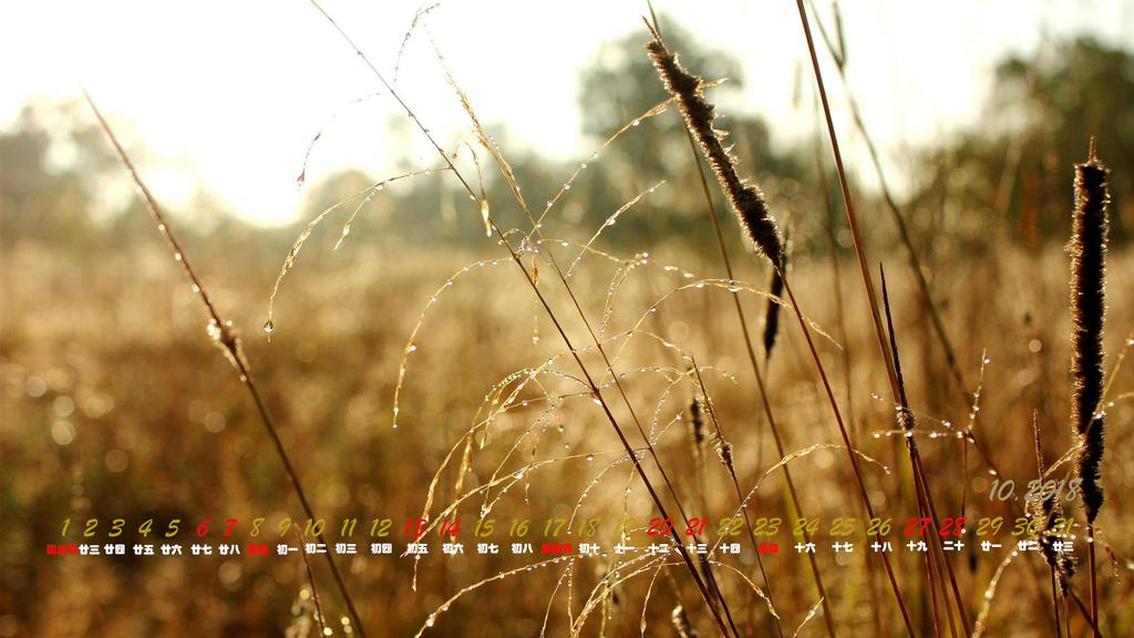 2018年10月露珠日历