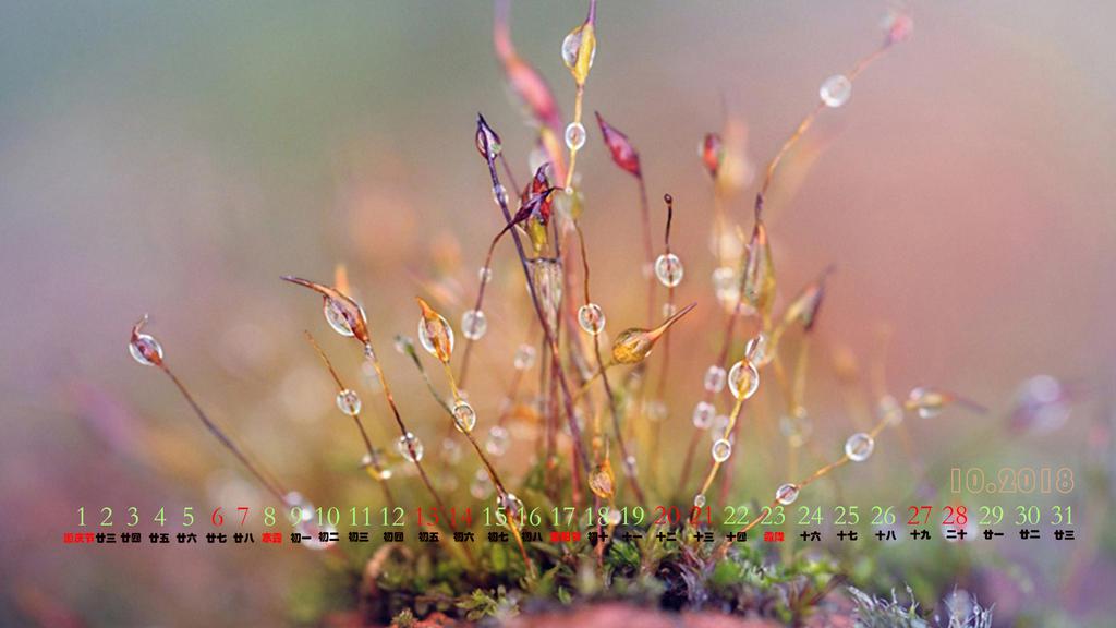 2018年10月露珠日历
